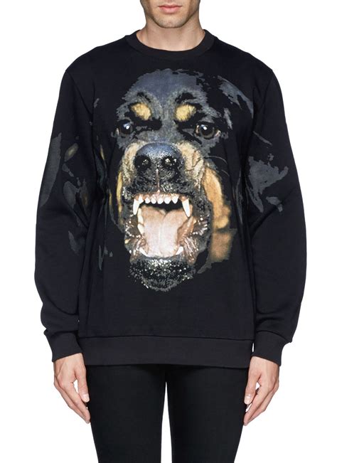 givenchy shirt rottweiler|givenchy rottweiler print sweatshirt.